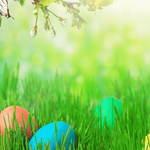The Science Behind Egg Colors