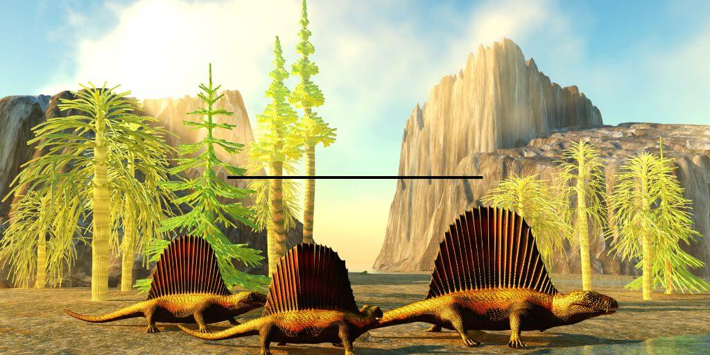 Canyons animals